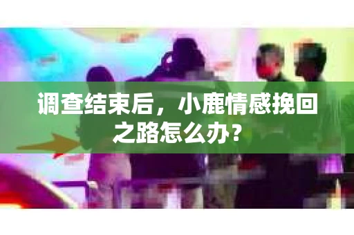 调查结束后，小鹿情感挽回之路怎么办？