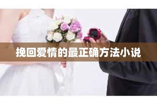 挽回爱情的最正确方法小说