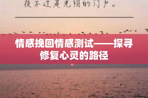 情感挽回情感测试——探寻修复心灵的路径