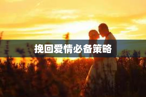 挽回爱情必备策略