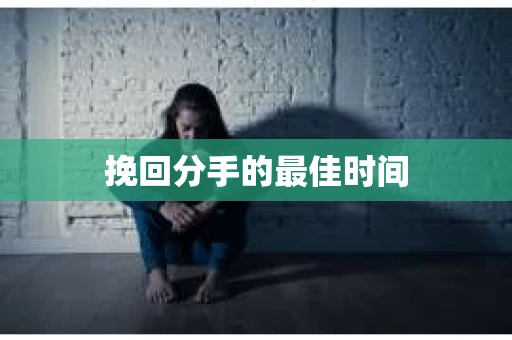 挽回分手的最佳时间