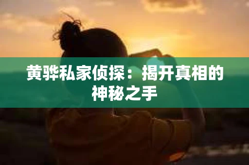 黄骅私家侦探：揭开真相的神秘之手