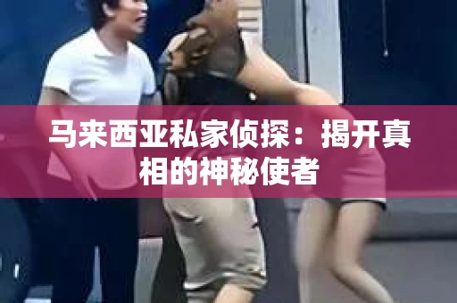 马来西亚私家侦探：揭开真相的神秘使者