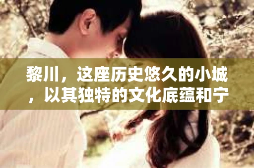黎川，这座历史悠久的小城，以其独特的文化底蕴和宁静的生活节奏吸引着无数游客。然而，在这样一个看似平静的城市里，你是否会好奇，有没有私家侦探机构的存在呢？今天，就让我带你一探究竟。