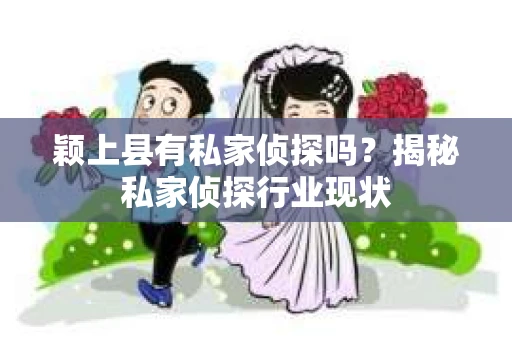 颖上县有私家侦探吗？揭秘私家侦探行业现状