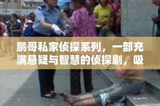 鹏哥私家侦探系列，一部充满悬疑与智慧的侦探剧，吸引了无数观众的眼球。今天，就让我带你走进这个充满神秘色彩的侦探世界，一起在线观看鹏哥私家侦探系列，感受那扣人心弦的故事情节。