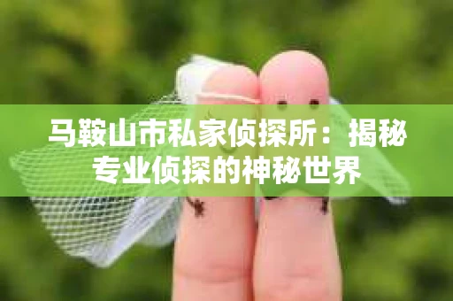 马鞍山市私家侦探所：揭秘专业侦探的神秘世界