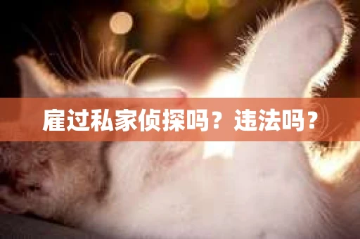 雇过私家侦探吗？违法吗？
