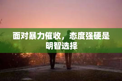 面对暴力催收，态度强硬是明智选择