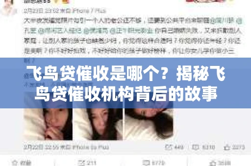 飞鸟贷催收是哪个？揭秘飞鸟贷催收机构背后的故事