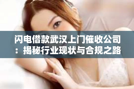 闪电借款武汉上门催收公司：揭秘行业现状与合规之路
