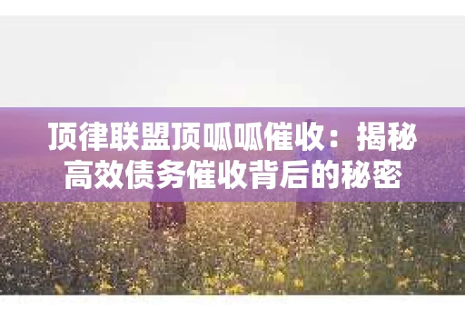 顶律联盟顶呱呱催收：揭秘高效债务催收背后的秘密
