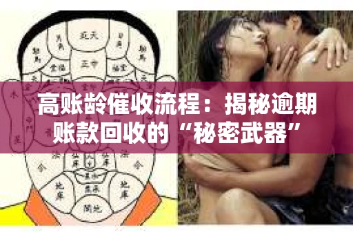 高账龄催收流程：揭秘逾期账款回收的“秘密武器”