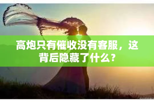 高炮只有催收没有客服，这背后隐藏了什么？