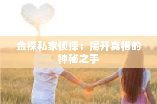 金探私家侦探：揭开真相的神秘之手