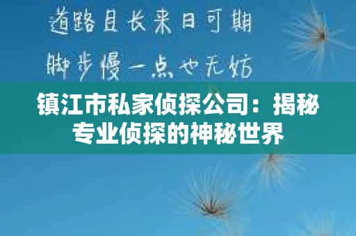 镇江市私家侦探公司：揭秘专业侦探的神秘世界