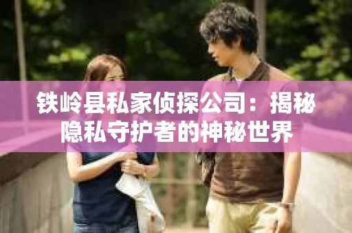 铁岭县私家侦探公司：揭秘隐私守护者的神秘世界