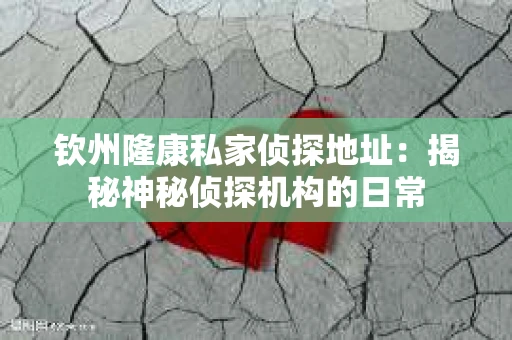 钦州隆康私家侦探地址：揭秘神秘侦探机构的日常