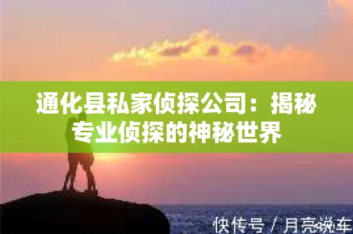 通化县私家侦探公司：揭秘专业侦探的神秘世界