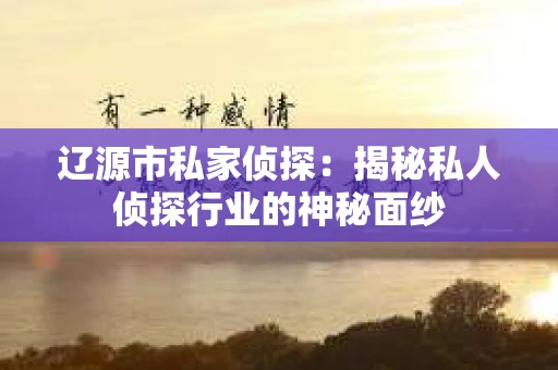 辽源市私家侦探：揭秘私人侦探行业的神秘面纱