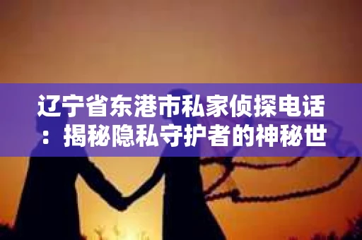 辽宁省东港市私家侦探电话：揭秘隐私守护者的神秘世界