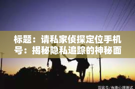 标题：请私家侦探定位手机号：揭秘隐私追踪的神秘面纱