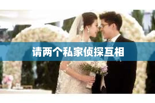 请两个私家侦探互相