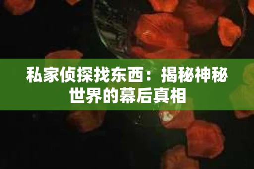 私家侦探找东西：揭秘神秘世界的幕后真相