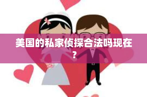 美国的私家侦探合法吗现在？