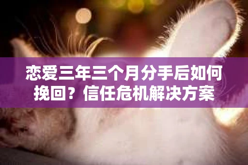 恋爱三年三个月分手后如何挽回？信任危机解决方案