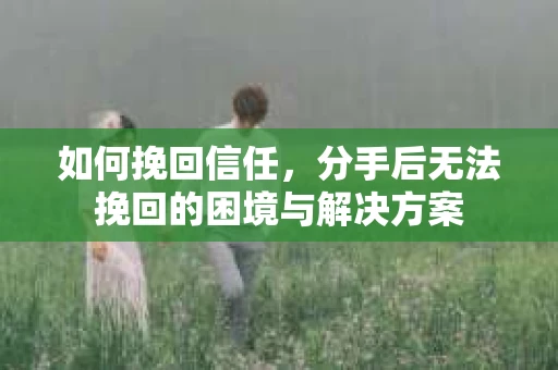 如何挽回信任，分手后无法挽回的困境与解决方案