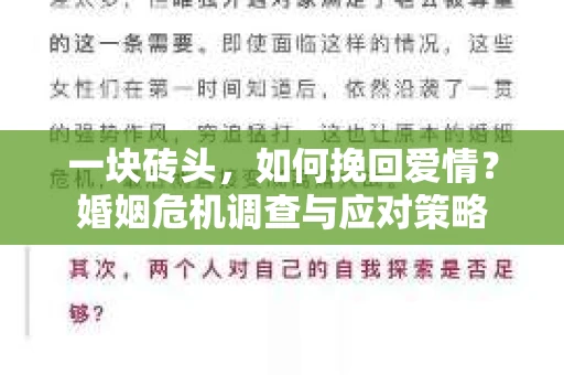 一块砖头,如何挽回爱情?婚姻危机调查与应对策略 一块砖头,如何挽回爱情?婚姻危机调查与应对策略