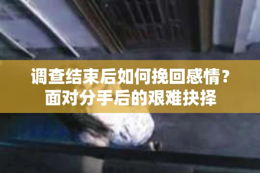 调查结束后如何挽回感情？面对分手后的艰难抉择