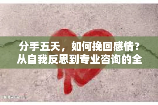 分手五天，如何挽回感情？从自我反思到专业咨询的全面解决方案
