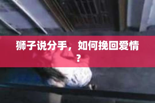 狮子说分手，如何挽回爱情？