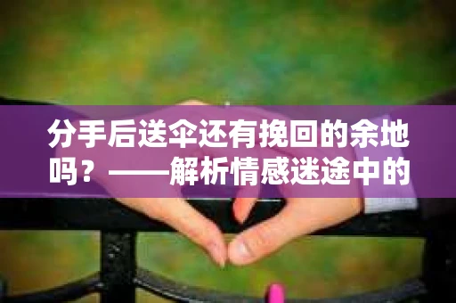分手后送伞还有挽回的余地吗？——解析情感迷途中的决策