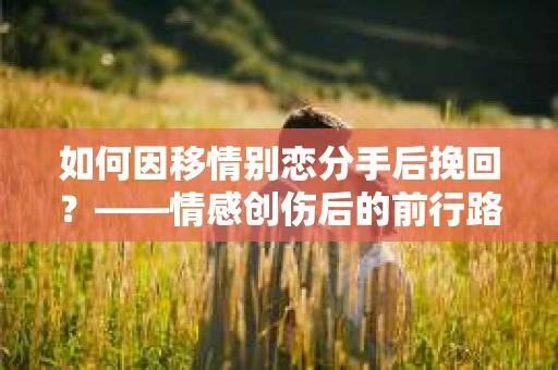 如何因移情别恋分手后挽回?——情感创伤后的前行路线图 如何因移情别恋分手后挽回?——情感创伤后的前行路线图
