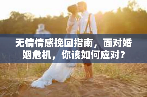 无情情感挽回指南，面对婚姻危机，你该如何应对？