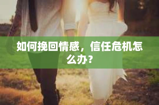 如何挽回情感,信任危机怎么办? 如何挽回情感,信任危机怎么办?