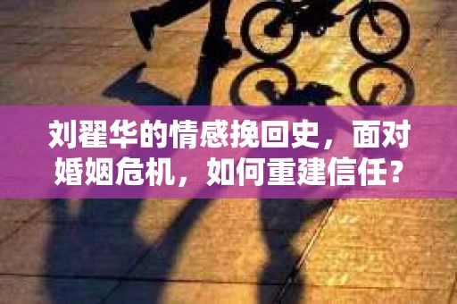 刘翟华的情感挽回史，面对婚姻危机，如何重建信任？