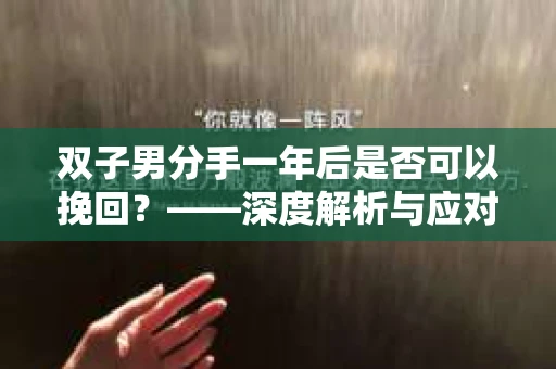 双子男分手一年后是否可以挽回？——深度解析与应对策略